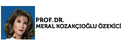 Prof. Dr. Meral KOZAKÇIOĞLU ÖZEKİCİ | Fizikom | İstanbul
